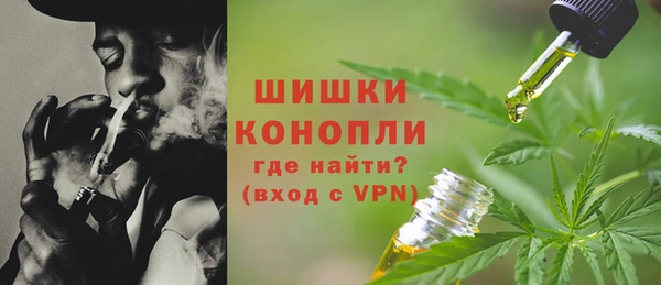 дмт Богданович