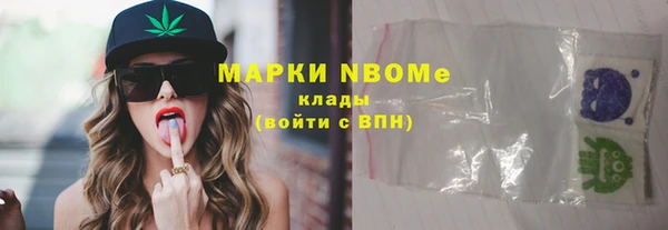 дмт Богданович
