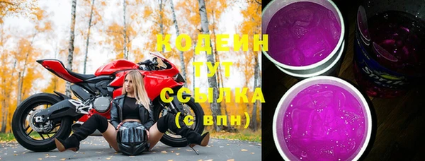 дмт Богданович