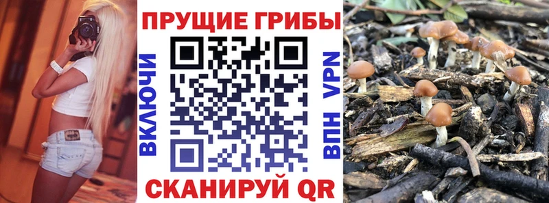 Псилоцибиновые грибы прущие грибы Крым