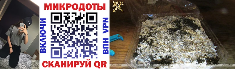 Псилоцибиновые грибы Psilocybe  Крым 